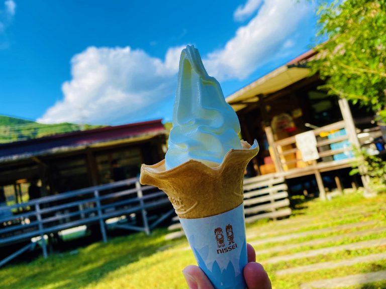 しばちゃんランチマーケット 柴田牧場のジャージー牛乳を使ったソフトクリームやヨーグルトがうますぎる 静岡おすすめスイーツ ちしき旅