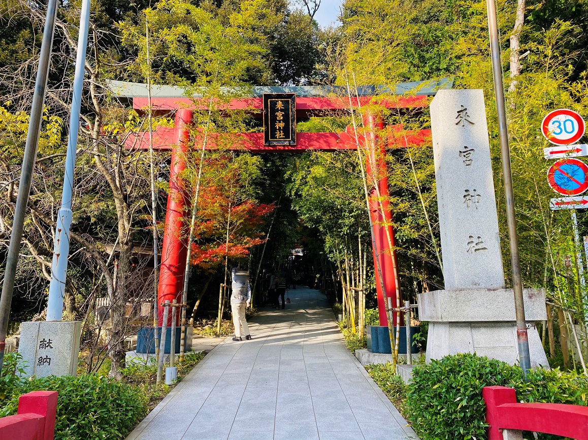 来宮神社 熱海にある日本屈指のパワースポット 天然記念物 大楠 のパワーでご利益アップ ちしき旅