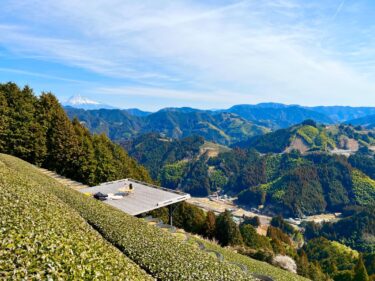 【天空の茶の間｜豊好園】息を吞む絶景！静岡市の標高３５０ｍに佇む大人気ティーテラス～静岡おすすめスポット～